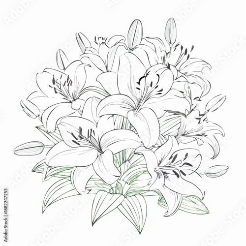 Floral Elegance A Blooming Lily Bouquet Illustration with Intricate Details