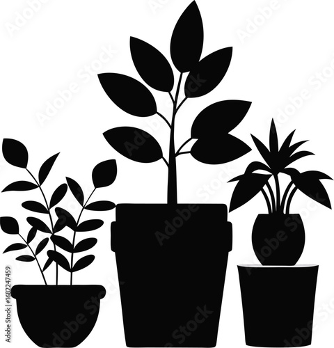 vector illustration of a plant