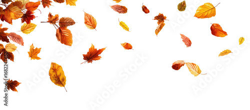 Falling autumn leaves on black background (2)