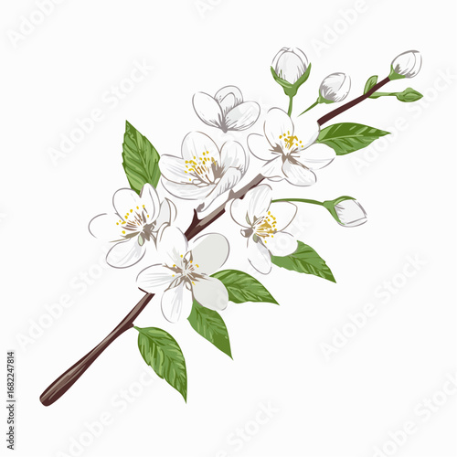 Delicate illustration of a blooming spring branch adorned with pristine white flowers, vibrant green leaves, and unopened buds, symbolizing new life and natural beauty in a serene garden