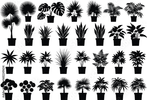 Set of Indoor Potted Plant Silhouettes – Tropical Houseplants Vector Icons for Gardening, Interior Decoration, and Botanical Design Projects