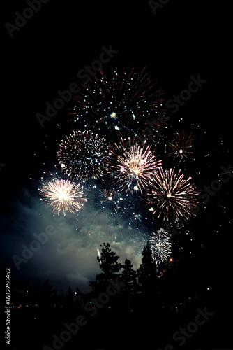 fireworks in the night sky