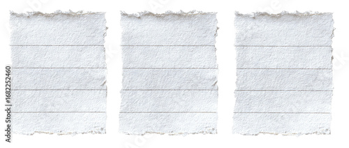 Three torn pieces of lined paper