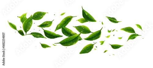 Fresh, vibrant green tea leaves, seemingly in motion, scattered across a black background.  Intricate, detailed outlines accentuate the leaf forms, adding a dynamic feel