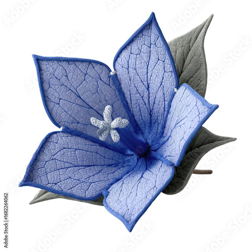 Detailed Blue Flower With Prominent Stamens And Textured Leaves On A Transparent Background