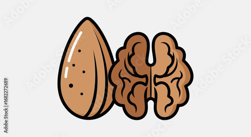 Almond and Walnut Illustration Healthy Snack Food.