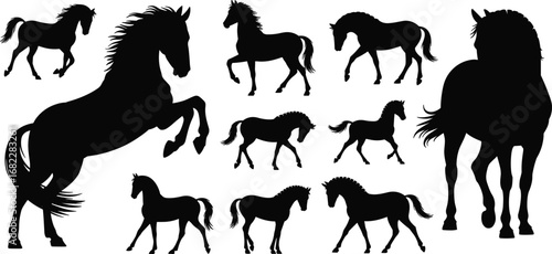 Black horse silhouette collection, wild stallion, horse running, horse jumping, elegant horse poses, equestrian art, horse shapes, wild animals, nature, farm animals, freedom, powerful horses