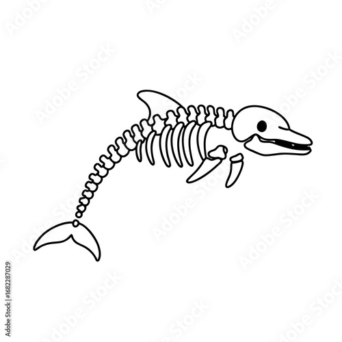 Dolphin skeleton illustration on white background, simple and clear design for educational purposes