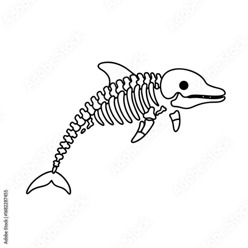 Dolphin Skeleton Illustration Marine Life Anatomy & Scientific Diagram