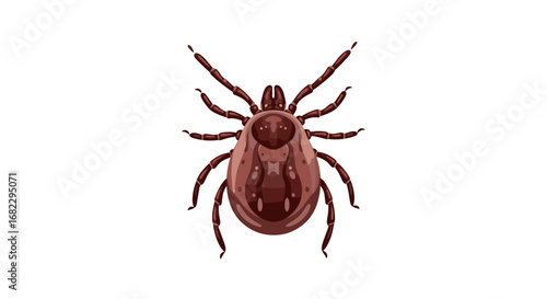 Identification and removal of ticks understanding tick bites and prevention strategies for outdoor activities