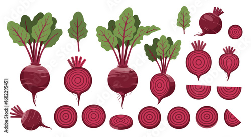 Fresh organic beetroot vegetables healthy root vegetable illustrations for culinary and health enthusiasts