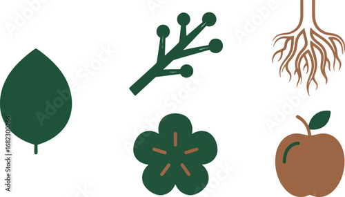 Discover the beauty of nature with these simple, elegant icons depicting leaves, flowers, roots, berries, and an apple for organic, healthy, and sustainable branding.