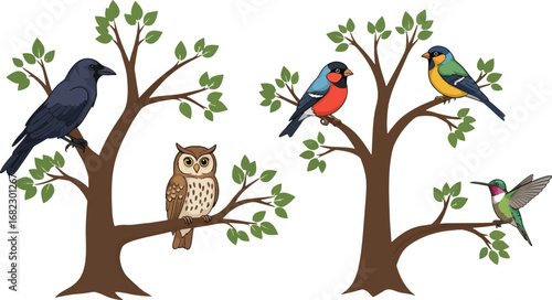 Diverse collection of colorful birds perched on tree branches, showcasing nature's vibrant avian life in a charming illustrative style perfect for educational or decorative use.