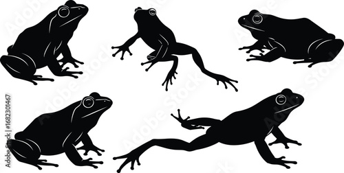 Frog silhouettes, amphibian vector, jumping frog, sitting frog, black frog shapes, frog illustration, nature wildlife, animal silhouette, frog clipart, pond frog, frog 