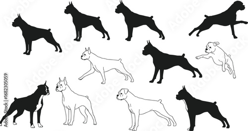 Boxer dog silhouette and outline set, standing, jumping, and walking poses, muscular breed, black and white vector illustration graphics