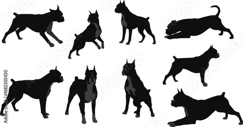 Boxer dog silhouette set, black vector dogs in various poses, guard dog breed, muscular canine illustrations, domestic pet design