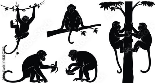 Silhouette of playful monkeys climbing trees, sitting on branches, eating bananas, jungle wildlife, tropical animals, nature, primates, forest habitat, wild animals