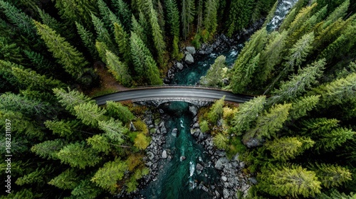High-angle view of a bridge over a turquoise river, surrounded by lush green forest