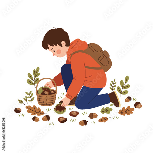Flat 2D vector: Adventurous child kneels, collecting chestnuts and acorns from autumn forest floor amidst fallen leaves and small plants, on a white background.