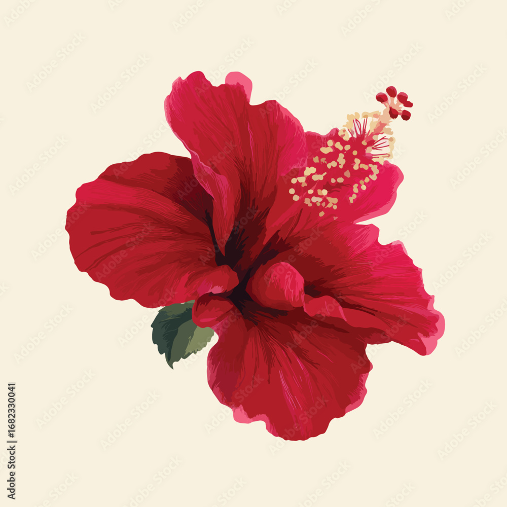 Obraz premium hibiscus flower isolated in White Background, hibiscus flower vector, Flat lay vector illustration