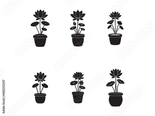 Elegant Black Silhouette of Lotus Plants in Pots on White Background Minimalist Aesthetic Nature Inspired Design for Creative Projects