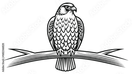Black and White Illustration of a Falcon on a Branch