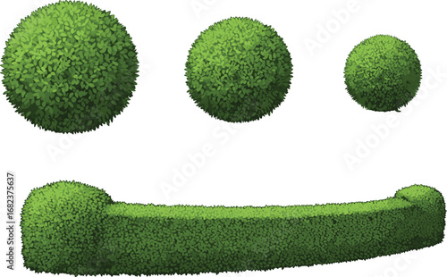 Topiary garden art, green trimmed bushes shaped as spheres and curved hedge, nature landscaping, ornamental plant design inspiration, isolated