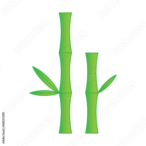 green bamboo plant illustration