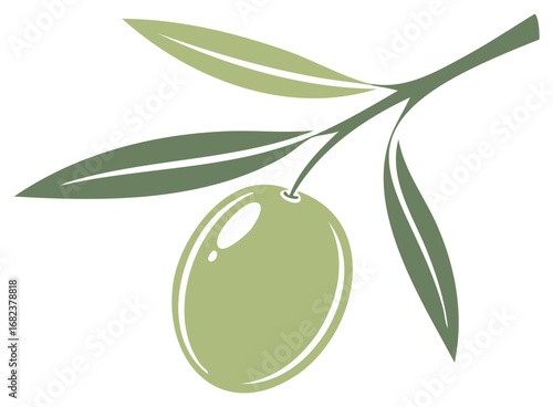 Fresh Green Olive Fruit and Leaves on a Branch Stylized Vector Illustration for Mediterranean Food