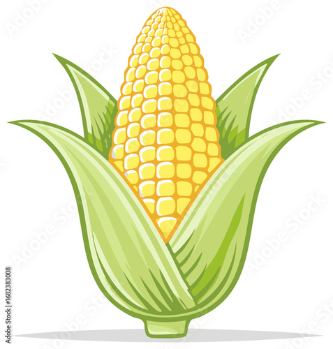 Bright Yellow Ear of Corn with Green Husks Fresh Produce Illustration