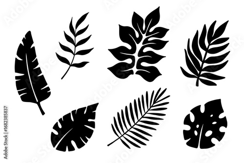Tropical leaves vector silhouette, floral illustration, summer hawaiian plants set