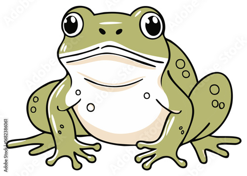 Isolated illustration of a cartoonish green frog with a white belly and big, round eyes.