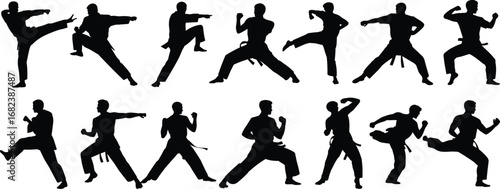 Martial arts silhouette vector set, karate poses, taekwondo kicks, kung fu stances, self defense moves, cad drawing flat vector illustration
