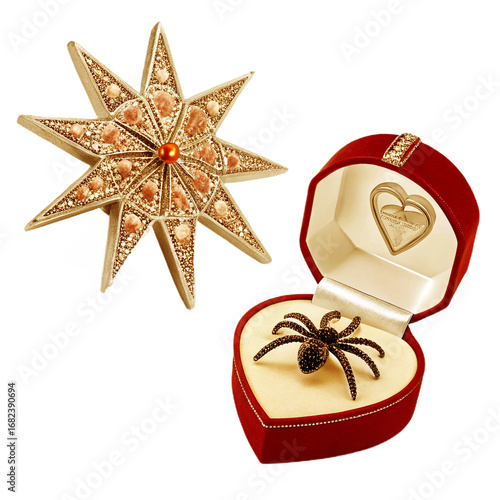 Jewelry star brooch and spider ring isolated on transparent background