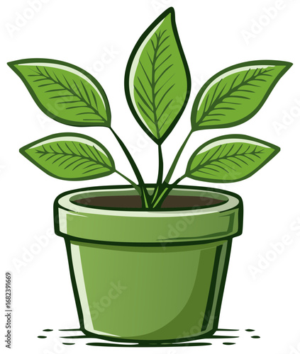 Potted plant houseplant interior natural leaf leaves green flowerpot domestic