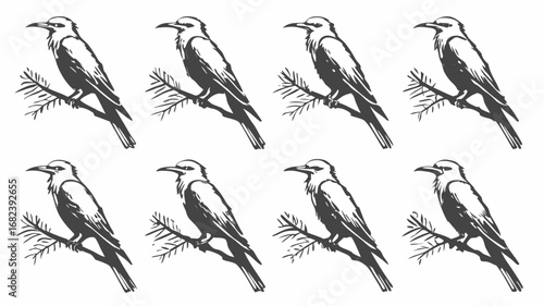 Eight silhouette birds perched on pine branches