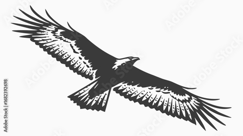 Majestic eagle in flight silhouette with spread wings
