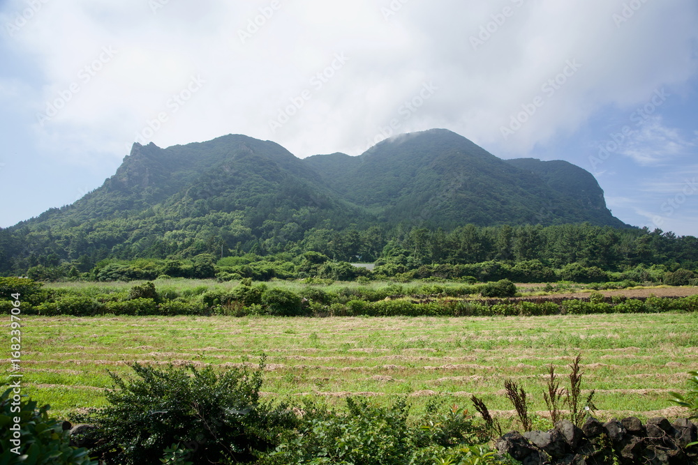 Obraz premium Sanbangsan Over Green Farmland