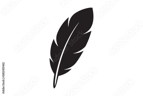 single feather isolated on white background
