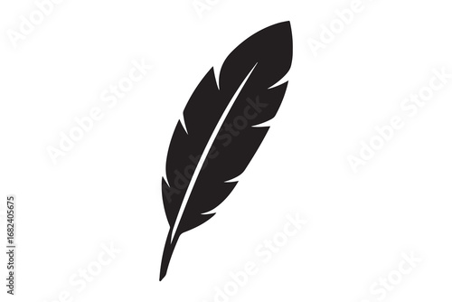single feather isolated on white background
