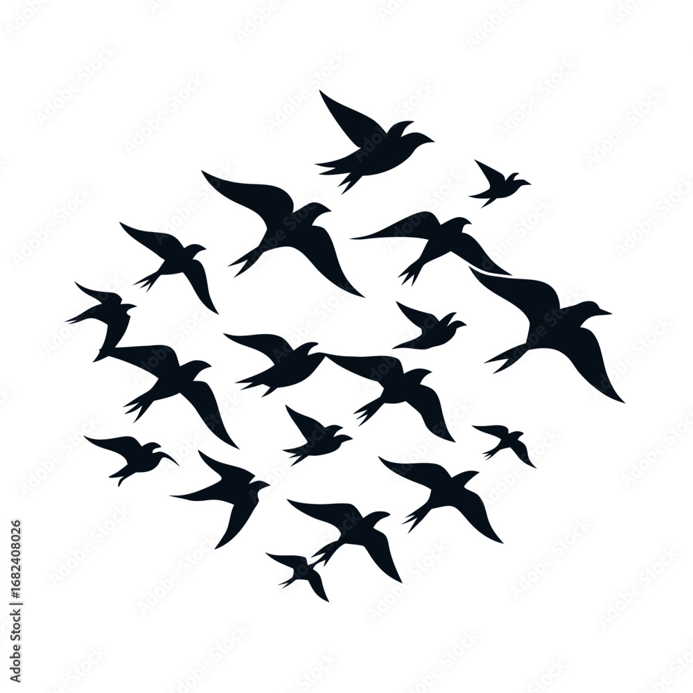 Obraz premium A flock of birds flying together in the sky