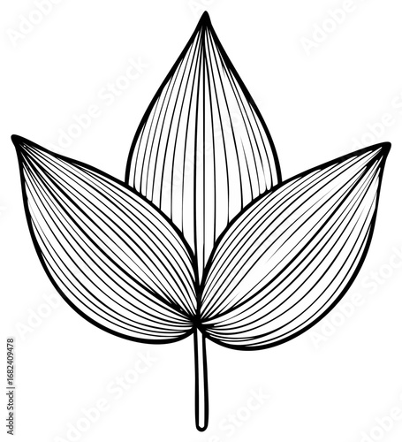Elegant black line art drawing of a stylized plant leaf with detailed veins