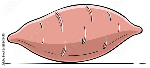 Sweet potato illustration in cartoon style, editable vegetable clip art