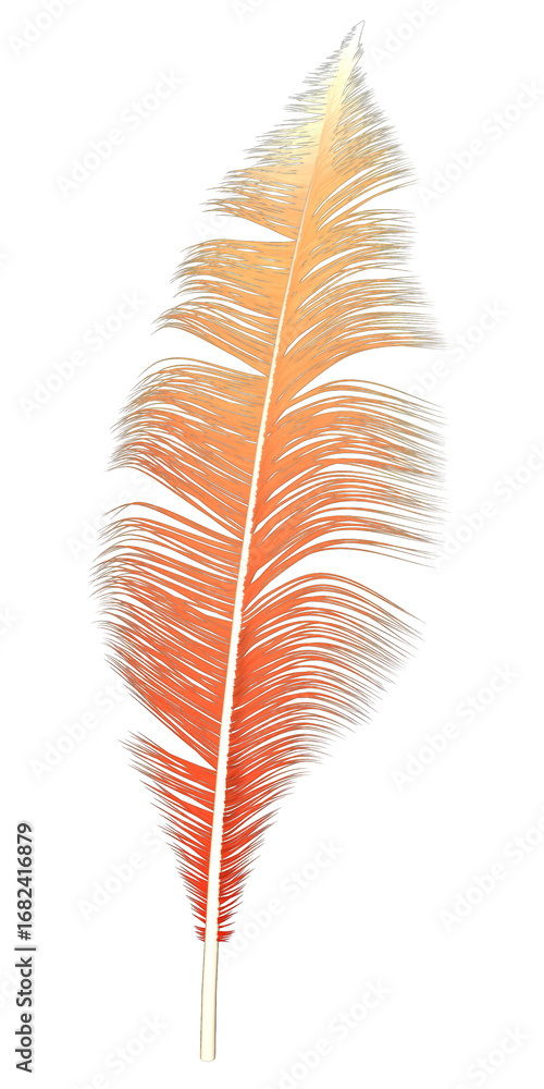 Fototapeta premium decorative 3d feather on transparent background