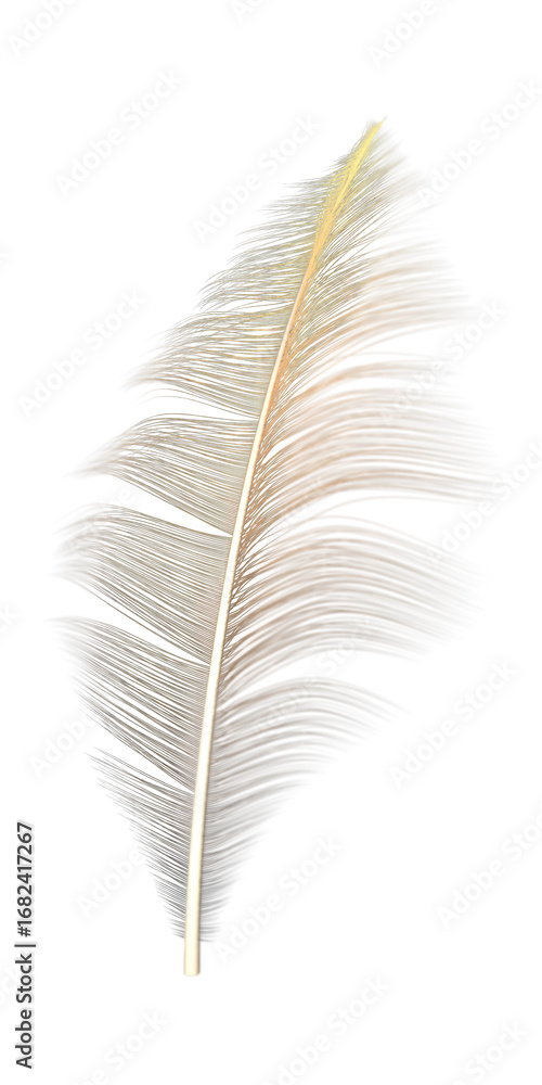 Fototapeta premium decorative 3d feather on transparent background