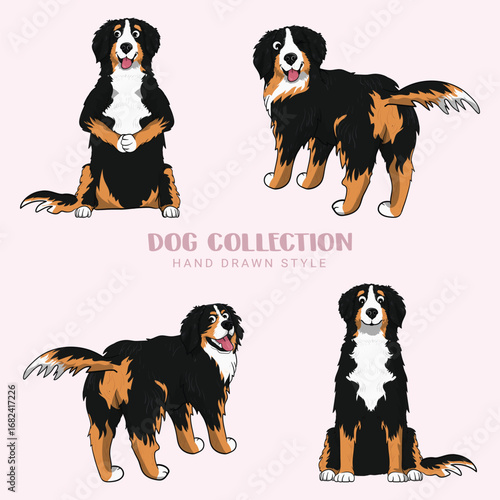 Cute Bernese Mountain dogs vector set Collection of hand drawn kawaii style in illustration