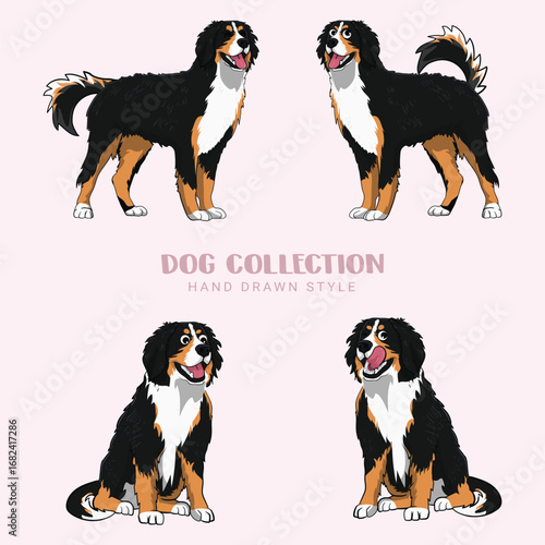 Cute Bernese Mountain dogs vector set Collection of hand drawn kawaii style in illustration