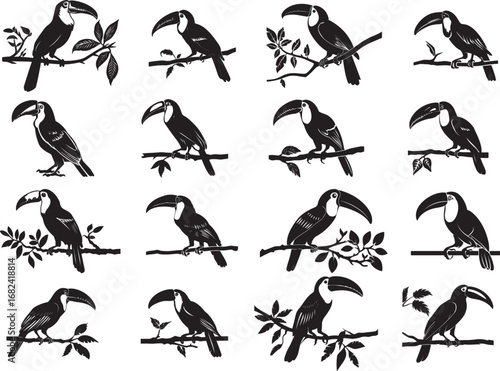 Toucan on Branch Tree Silhouette SVG
