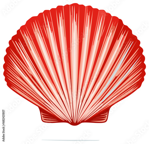 Vibrant Red Scallop Seashell Vector Illustration for Marine and Ocean Designs, Isolated