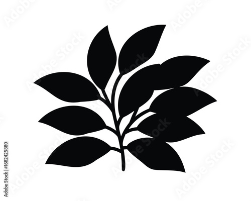 Elegant Black and White Silhouette of a Lush Plant with Many Leaves
